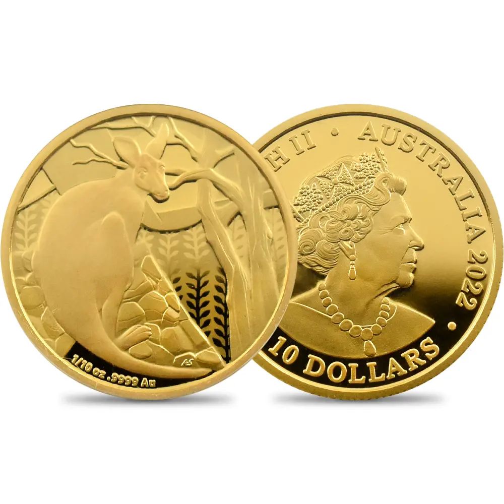 オーストラリア 2022 エリザベス2世 カンガルー 10ドル 1/10オンスプルーフ金貨 未鑑定 箱付き