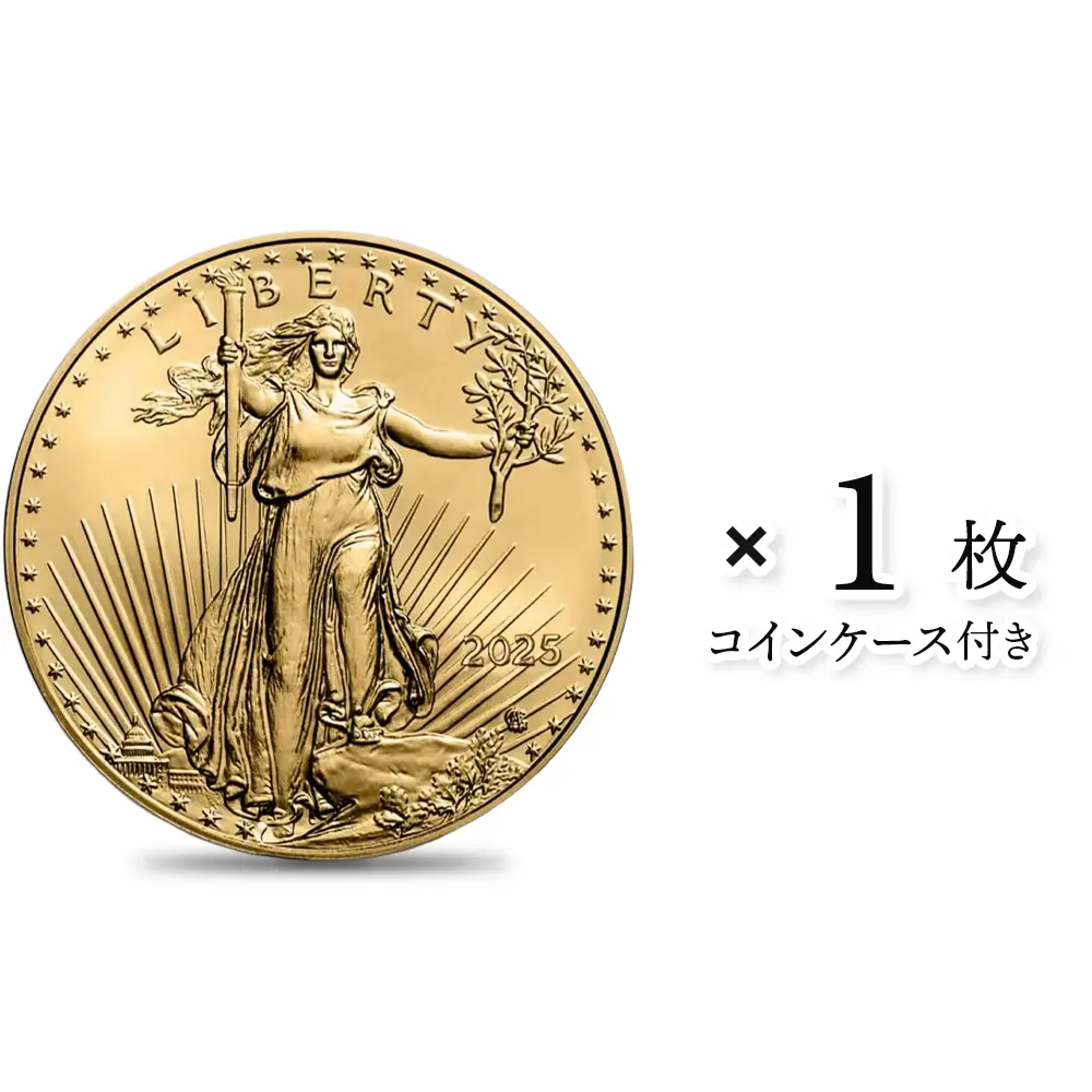 アメリカ 2025 イーグルヘッド リバティ 10ドル 22K金貨(約8.48g)【1枚】 (コインケース付き)