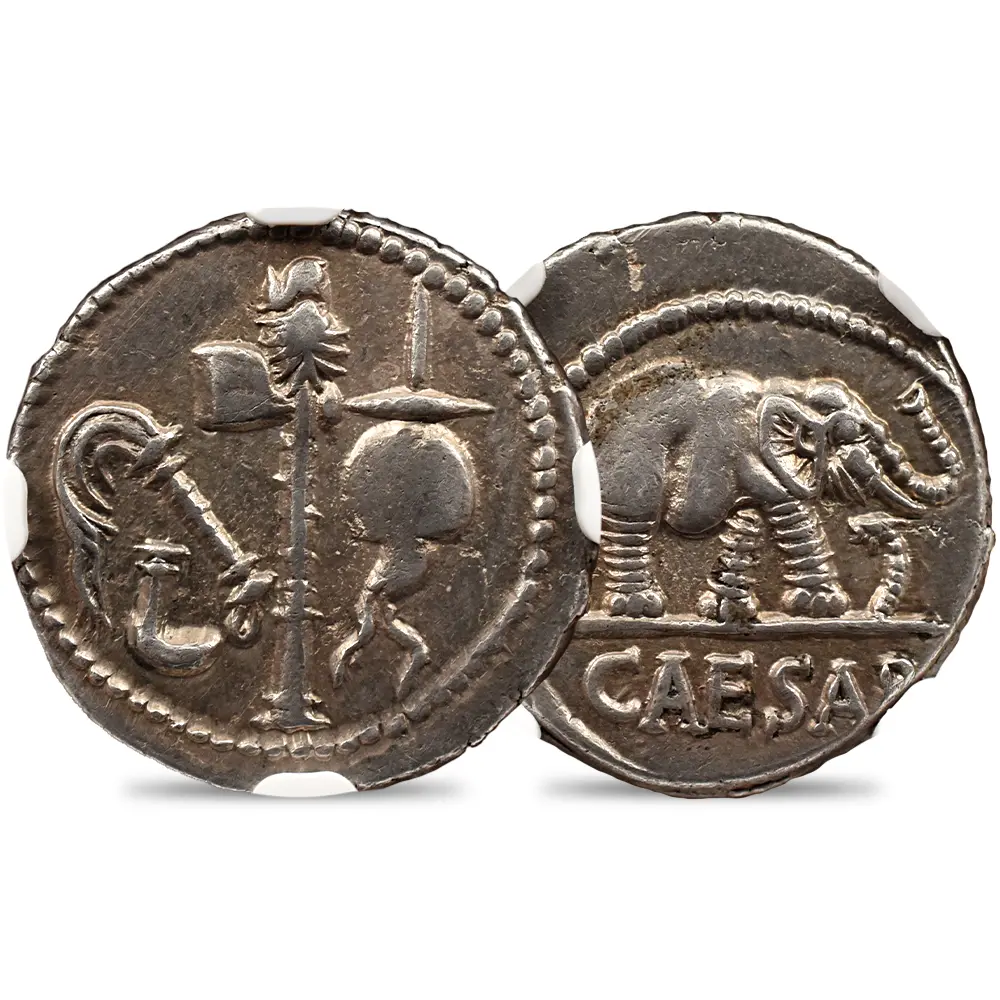 古代ローマ帝国 紀元前49-48 カエサル 蛇を踏む象 デナリウス銀貨 NGC Ch XF Strike: 4/5 Surface: 4/5