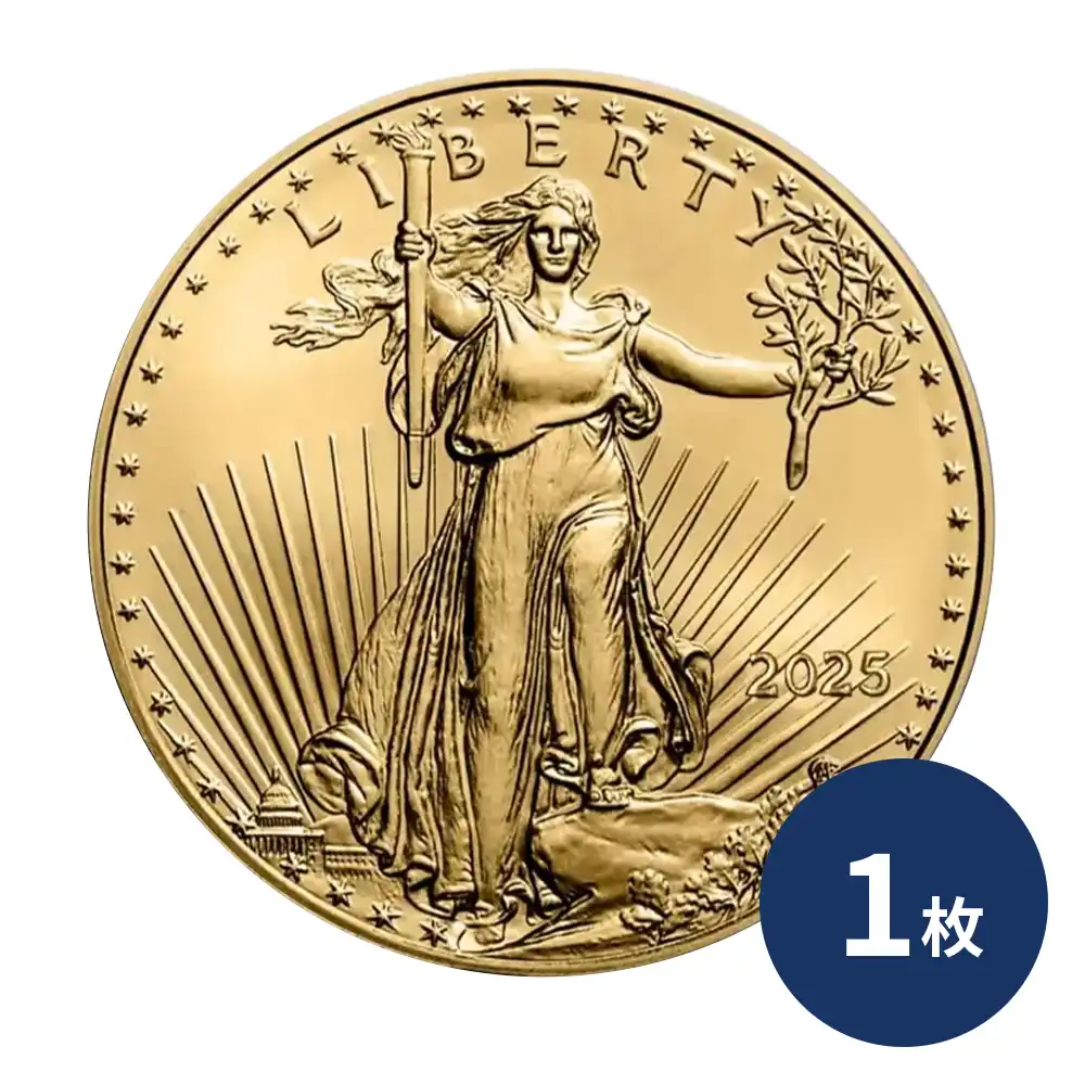 アメリカ 2025 イーグルヘッド リバティ 10ドル 22K金貨(約8.48g)【1枚】 (コインケース付き)