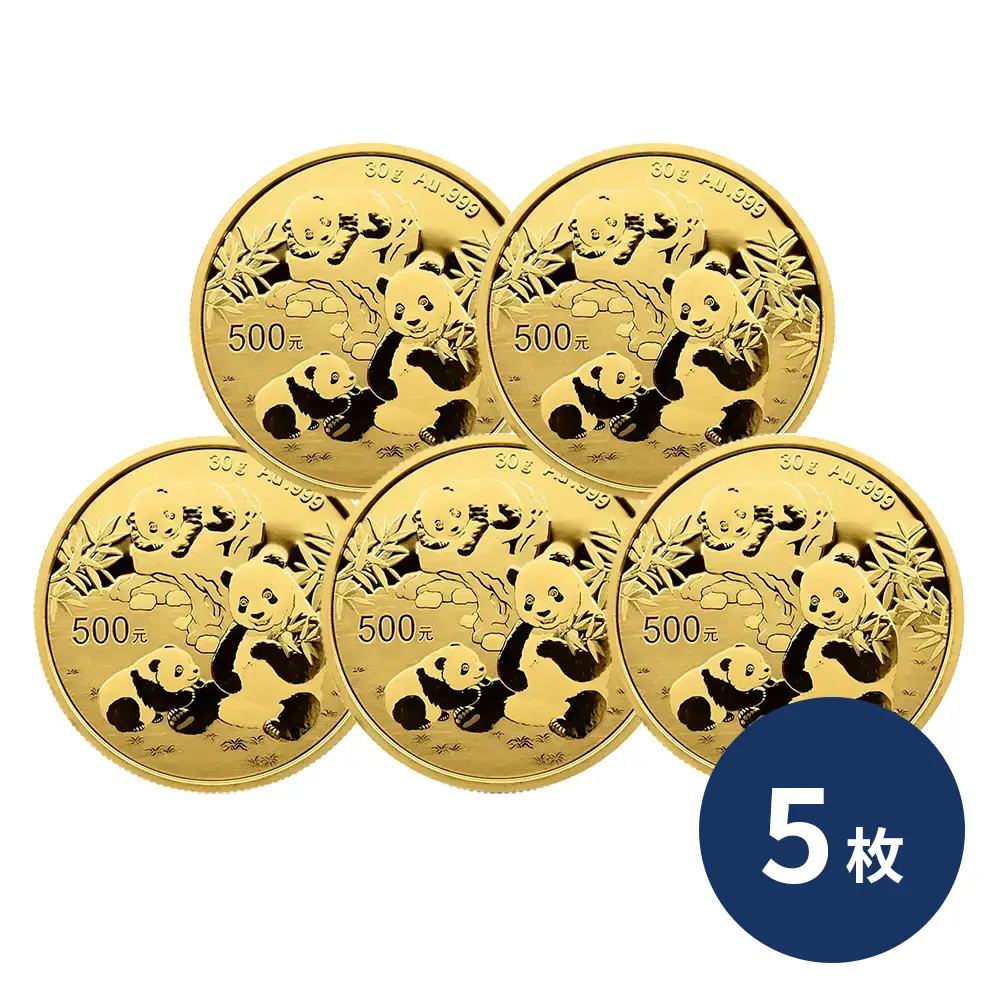 中国 2025 パンダ 500元 30グラム 金貨 【5枚】