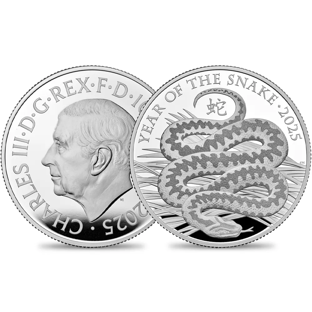 2025 チャールズ3世 干支巳年 10ポンド5オンスプルーフ銀貨 未鑑定 箱付き【ご予約承り品】