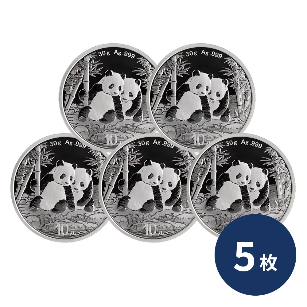 中国 2026 パンダ 10元 30g 銀貨 【5枚】