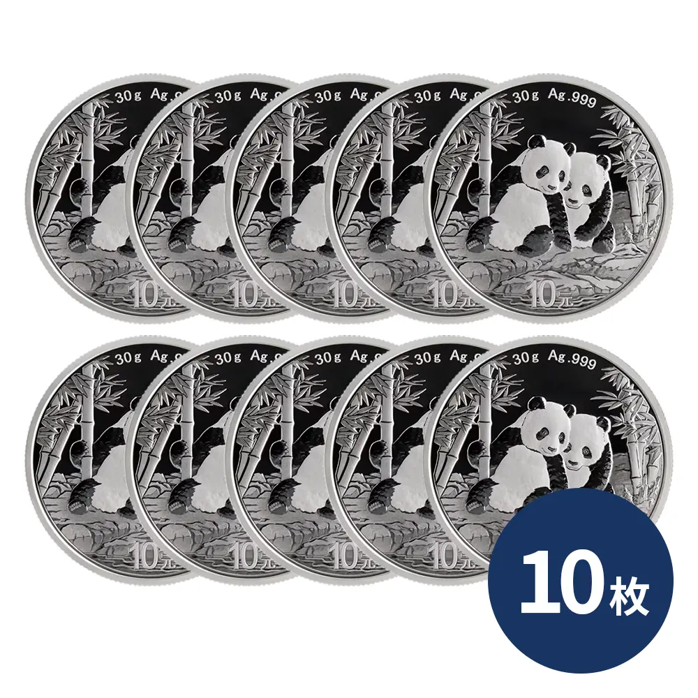 中国 2026 パンダ 10元 30g 銀貨 【10枚】